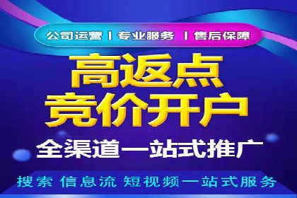 百度SEO推广策略深度解读：某企业网络营销的胜利之路