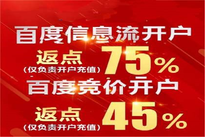谷歌竞价广告的投放策略与成功案例分析